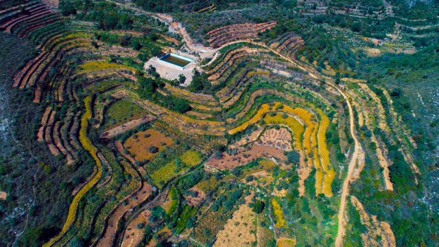 20 years of celebrating the 'culture' in agriculture  | FAO Stories | Food and Agriculture Organization of the United Nations - Vimarsana News