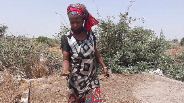 More secure land tenure in Senegal lays the groundwork for agroecology and women empowerment - Vimarsana News