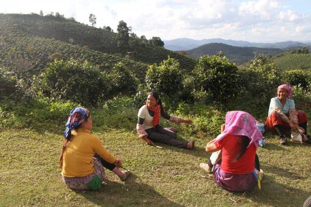 A cup of tea… or cha? - Vimarsana News