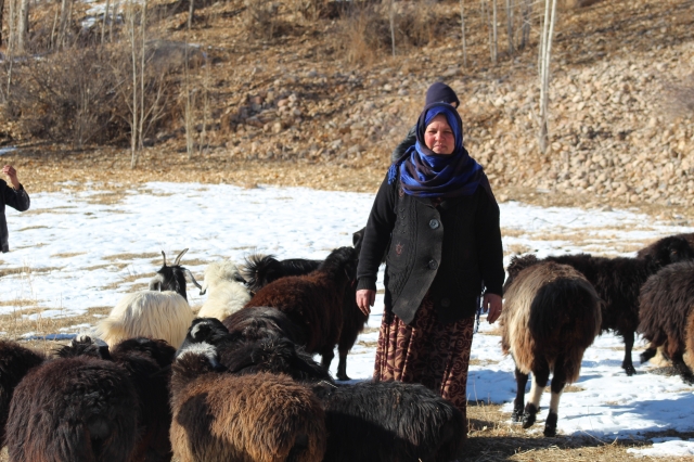 Bonding on the job in Bamyan, Afghanistan - Vimarsana News