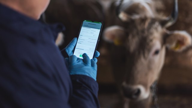 Digitalizing cows in Georgia - Vimarsana News