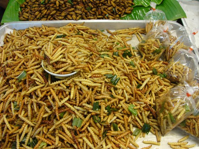 'Worm' up to the idea of edible insects | FAO Stories | Food and Agriculture Organization of the United Nations - Vimarsana News