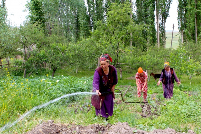 Kyrgyz farmers learn managing multiple risks in agriculture and the food system - Vimarsana News
