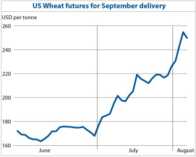Wheat graphic 2