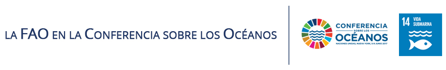 La FAO en la Conferencia sobre los Océanos