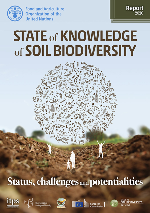 State of knowledge of soil biodiversity