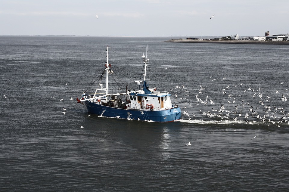 Caribbean countries tackle IUU Fishing by marking and recording their