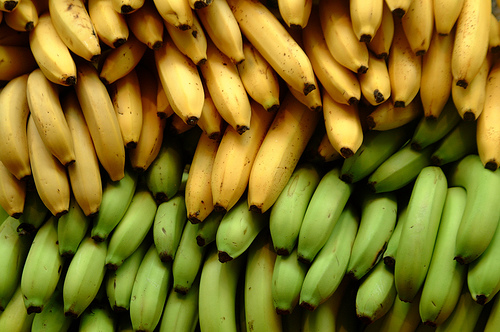 La producción de banano en Honduras podría irse a Guatemala y Honduras | Agronoticias: Actualidad agropecuaria de América Latina y el Caribe | Organización de las Naciones Unidas para la Alimentación y