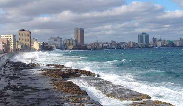 https://www.fao.org/fileadmin/user_upload/AGRO_Noticias/img/maleconhabana.jpg
