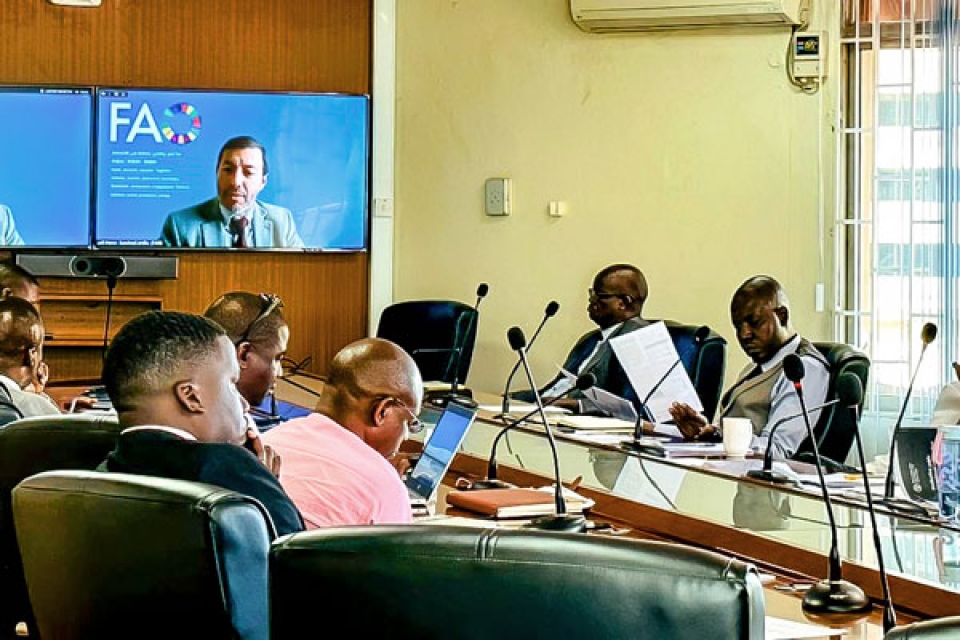 FAO meets with Ugandan policymakers to advise on prioritizing investments in agriculture ahead of the new national development plan  Agri-food economics  Food and Agriculture Organization of the United Nations