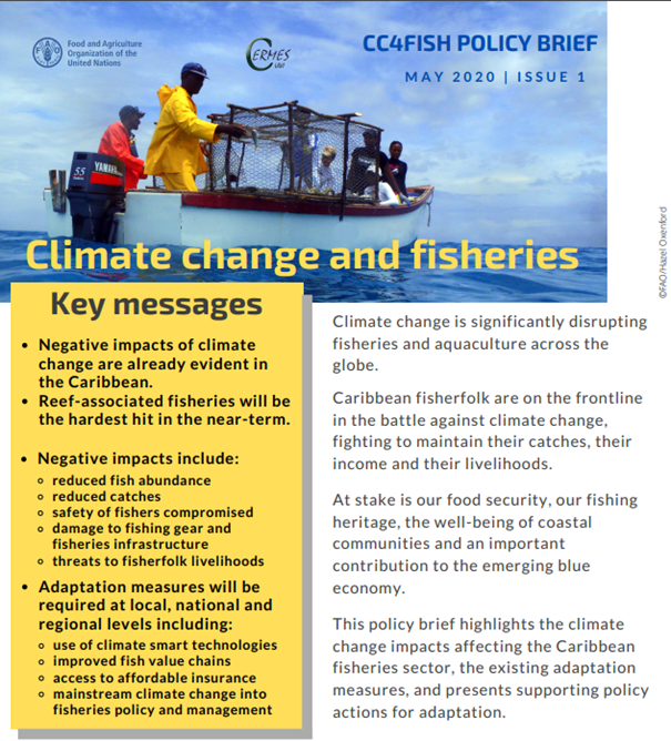 Climate Change and Fisheries Policy Brief Climate Change Adaptation