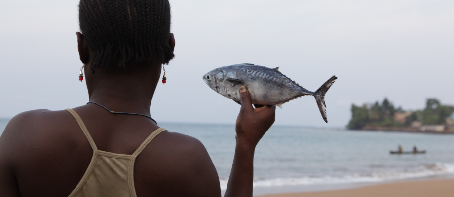 Paving the way for a more sustainable fisheries sector in São Tomé and Príncipe