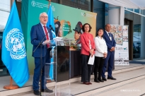 Organização das Nações Unidas para Agricultura e Alimentação: FAO faz ...