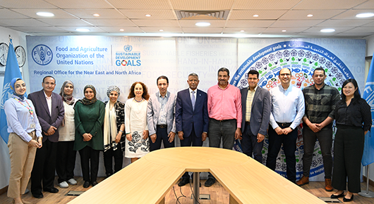 FAO in Egypt | Food and Agriculture Organization of the United Nations