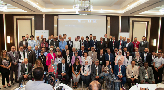 FAO in Egypt | Food and Agriculture Organization of the United Nations