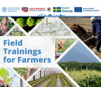 Ongoing EU and FAO Trainings in Agronomy for Farmers | FAO in Georgia ...