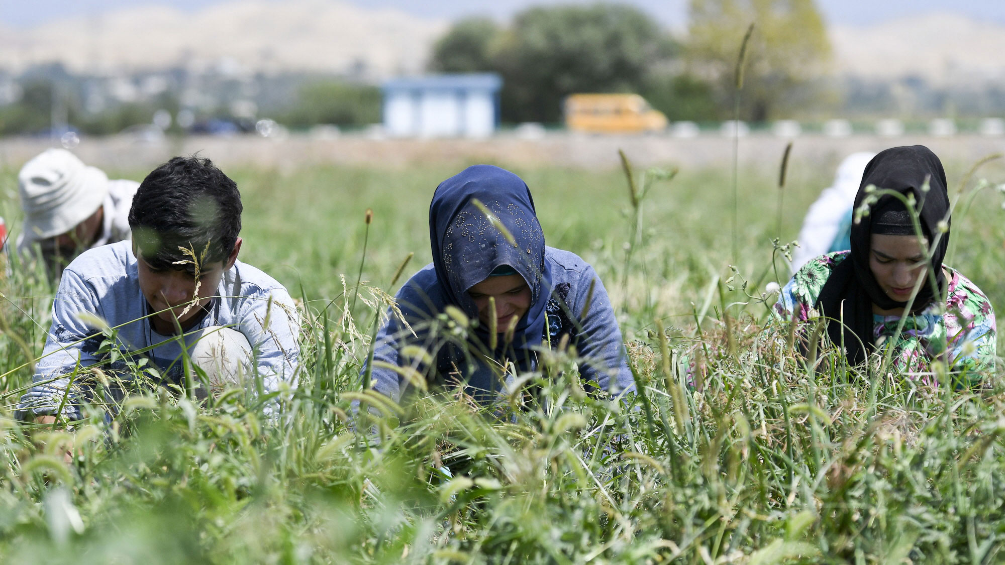 FAO News Article FAO Asia Pacific Conference Highlights The 
