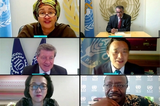 Access to food for all and greater agricultural innovation are key as countries respond to COVID-19 pandemic and plan to rebuild