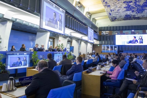 La unanimidad prevalece a medida que el 171.º período de sesiones del Consejo de la FAO llega a su fin de manera satisfactoria