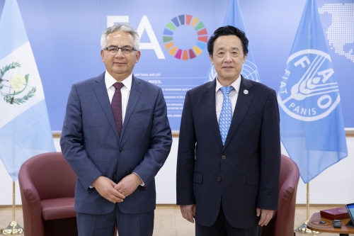 Read-out of the FAO Director-General’s meeting with the Minister for Agriculture, Livestock and Food of Guatemala, José Ángel López Camposeco