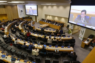 Una Gran Muralla Verde para las ciudades