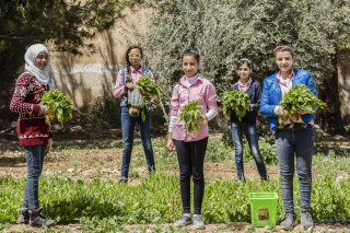 Обеспечение здорового рациона питания для всех
