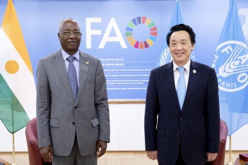 Resumen de la reunión del Director General de la FAO con el Sr. Alambedji Abba Issa, Ministro de Agricultura de la República del Níger