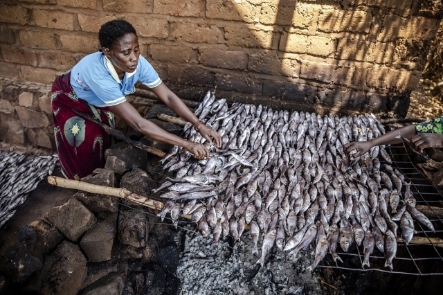 Tanzania welcomes network for empowering women in Lake Tanganyika fisheries, FISH4ACP - Unlocking the potential of fisheries and aquaculture in  Africa, the Caribbean and the Pacific