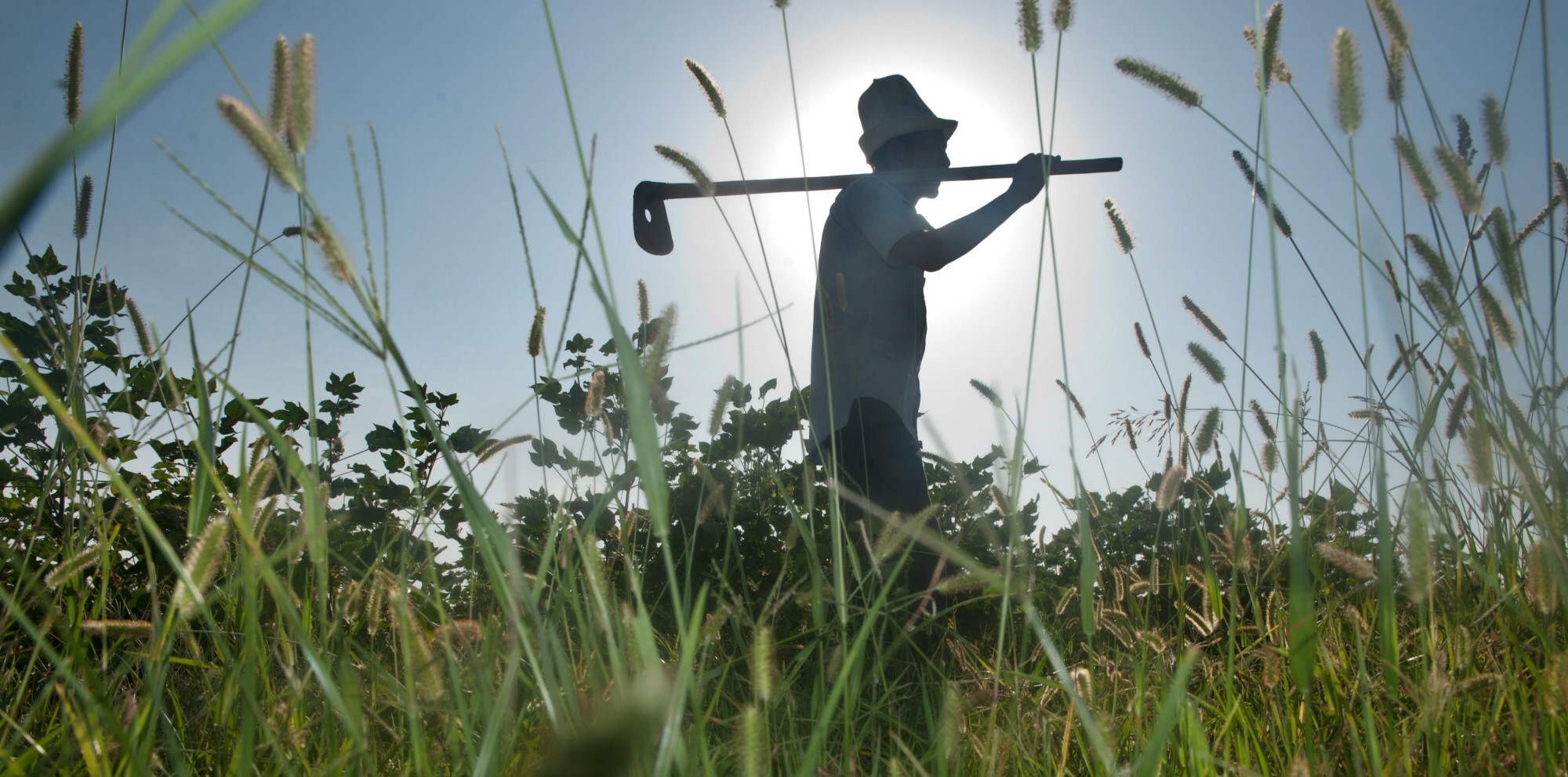 Development of an Agricultural Development Strategy in Kyrgyzstan for 20112020 FAO and