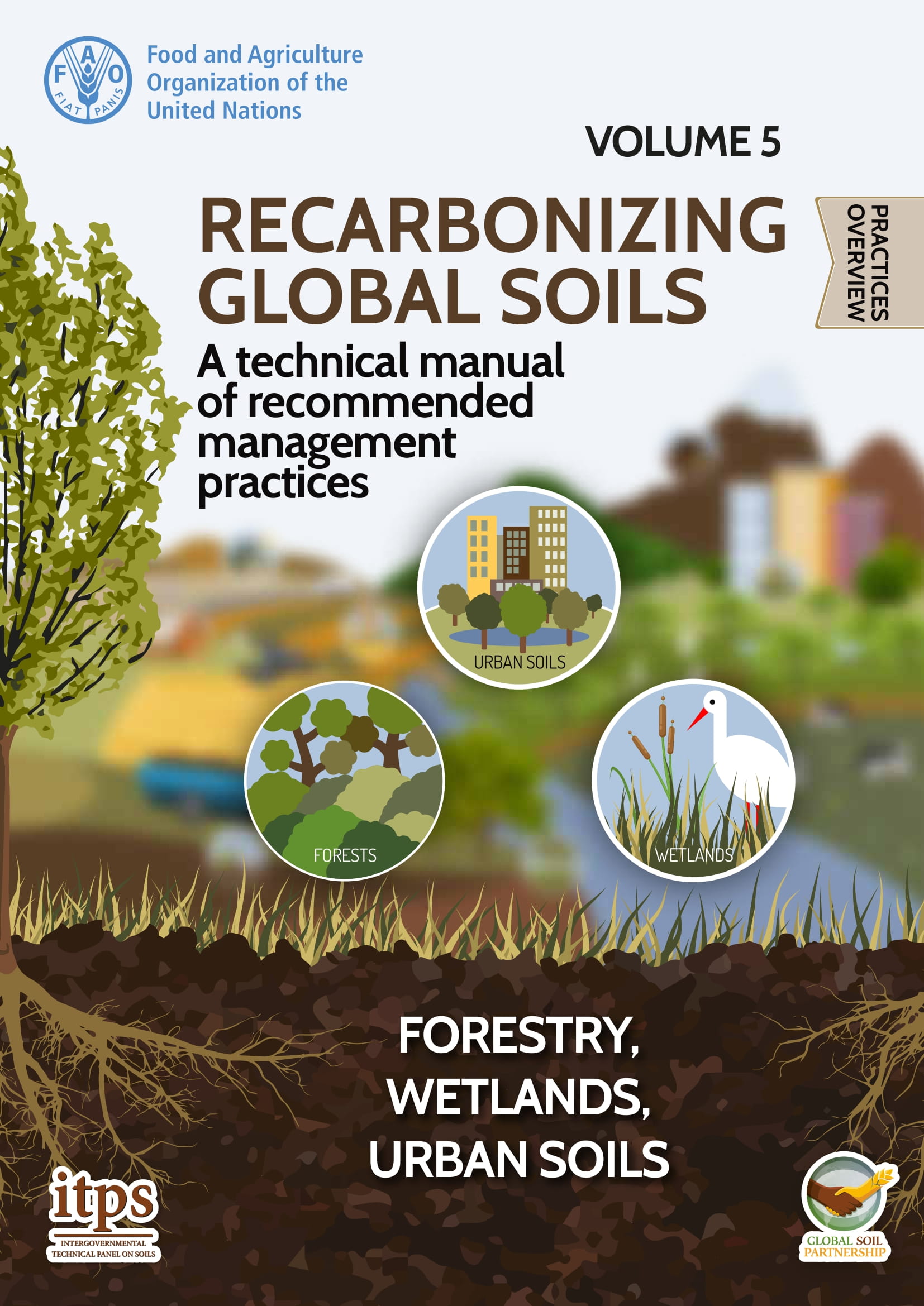 Recarbonizing global soils – A technical manual of recommended management practices