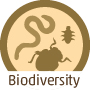 soil biodiversity