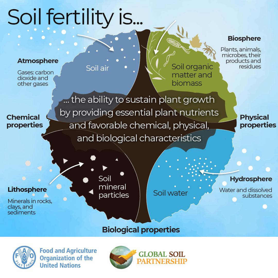Importance Of Soil Fertility Management - Design Talk