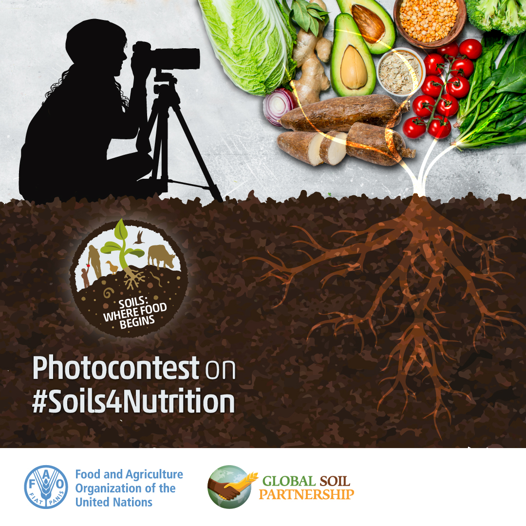 Global Symposium on Soils for Nutrition (GSOIL4N) - Soils, where