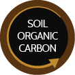 soil organic carbon