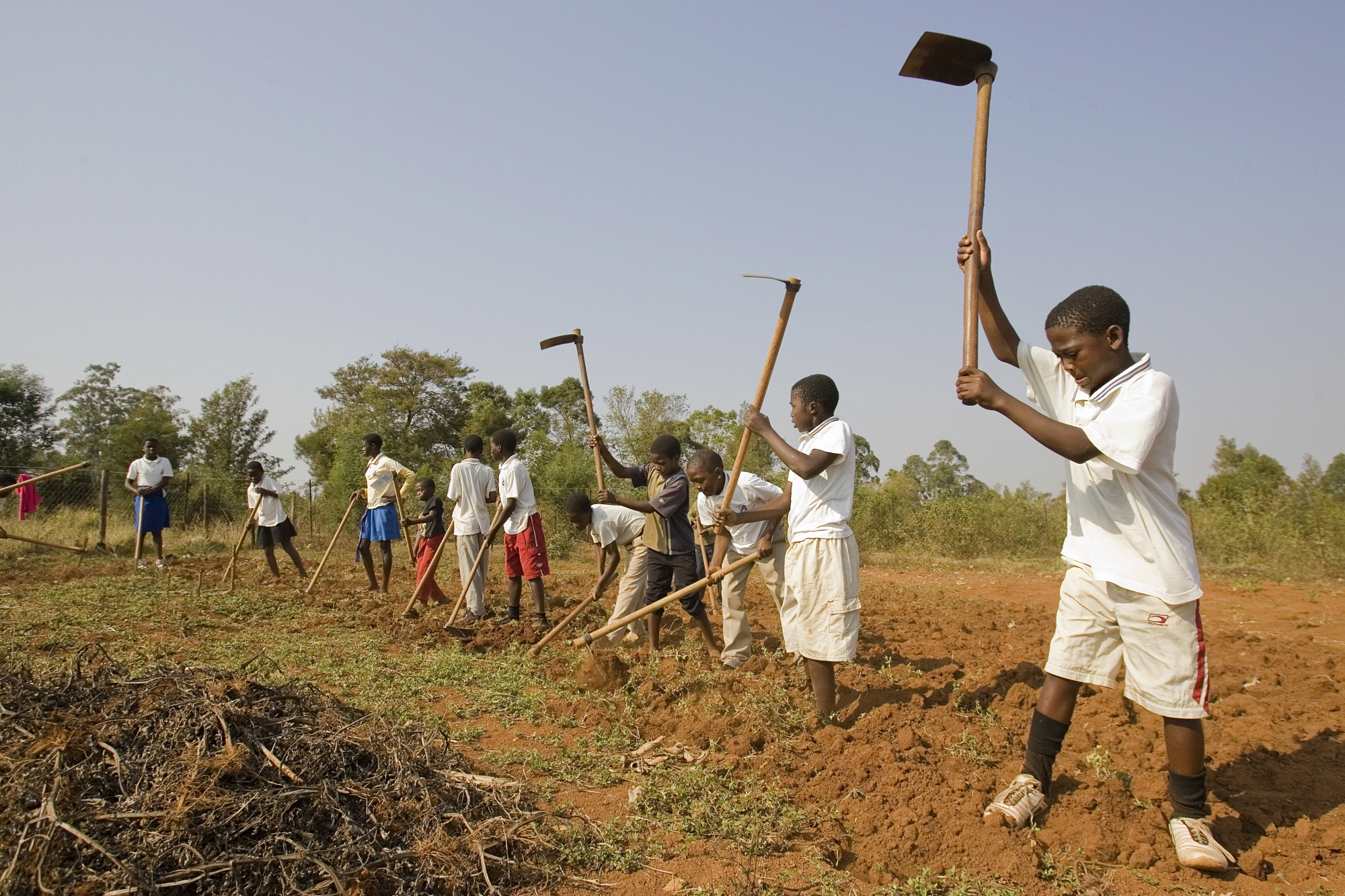 FAO training on Technological Innovations in Soil Science for Nigeria Institute of Soil Science