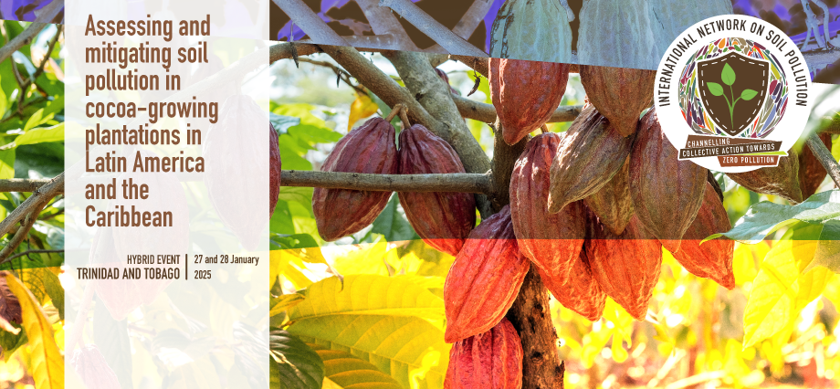 Assessing and mitigating soil pollution in cocoa-growing plantations in ...