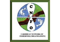 Caribbean Network of Fisherfolk Organisations (CNFO)