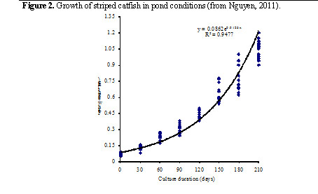 Red Catfish Growth Chart