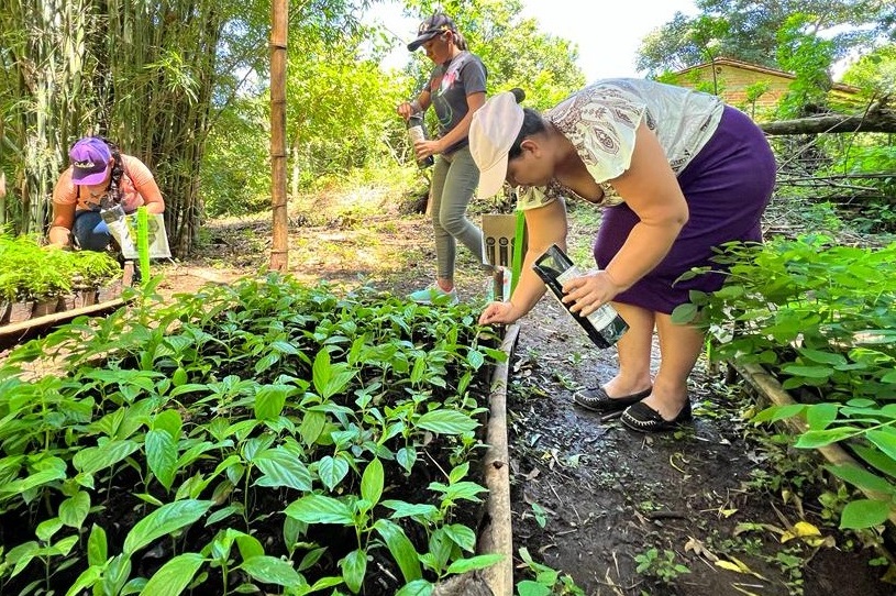 Women tackle climate change with tree nurseries in El Salvador'