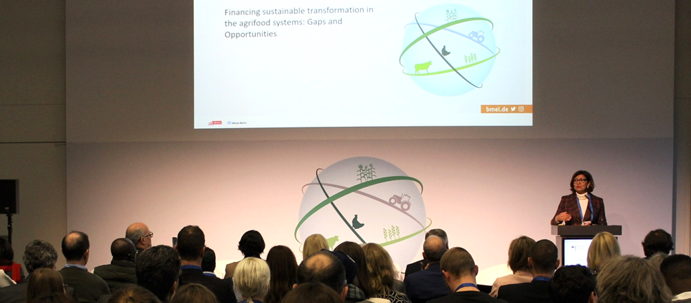 Climate finance is key to making agrifood systems more resilient, efficient, sustainable and inclusive'