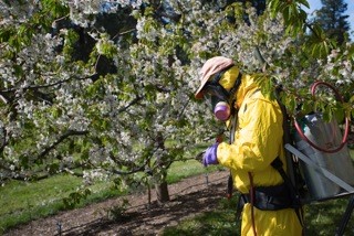 Mt Hood Oregon testing