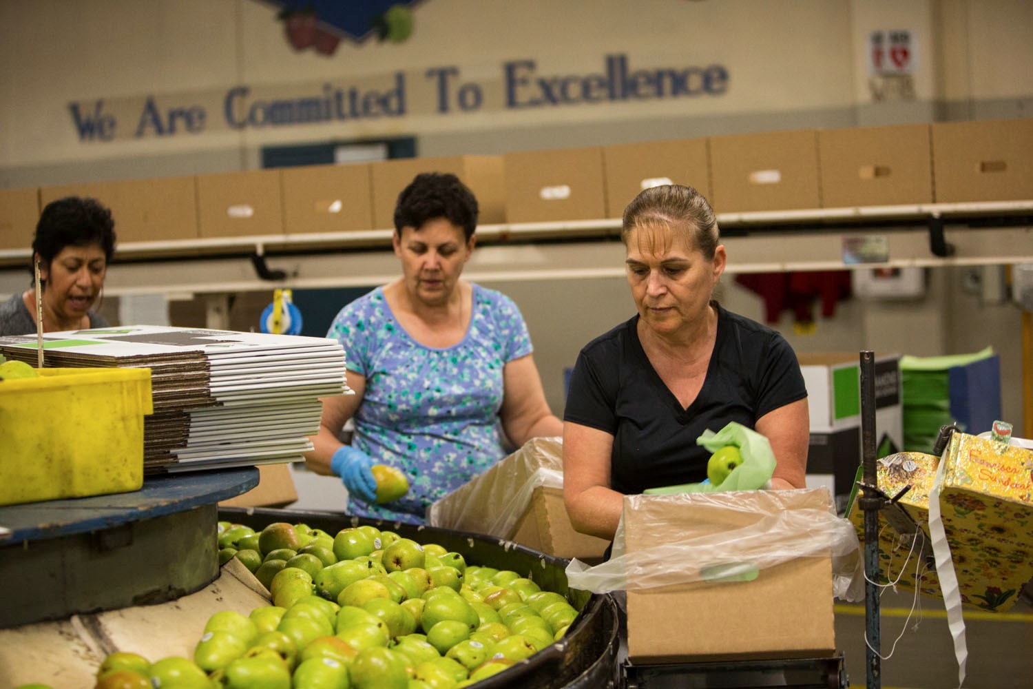 Mt Hood Oregon USA - packing