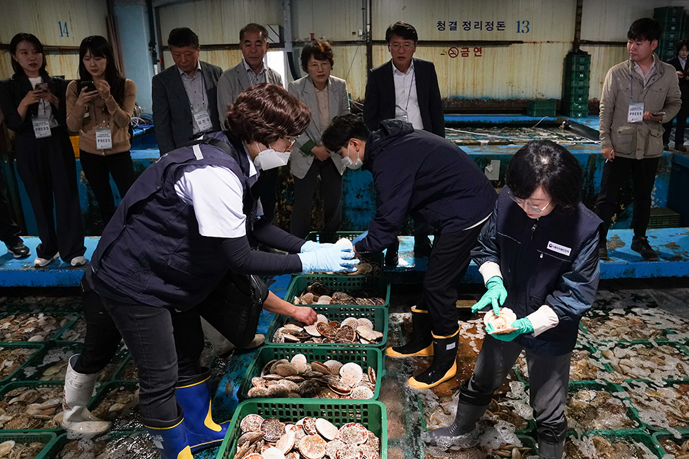 Busan-Minister-market