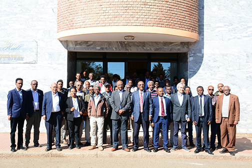 Eritrea workshop participants