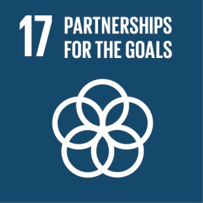 SDG17