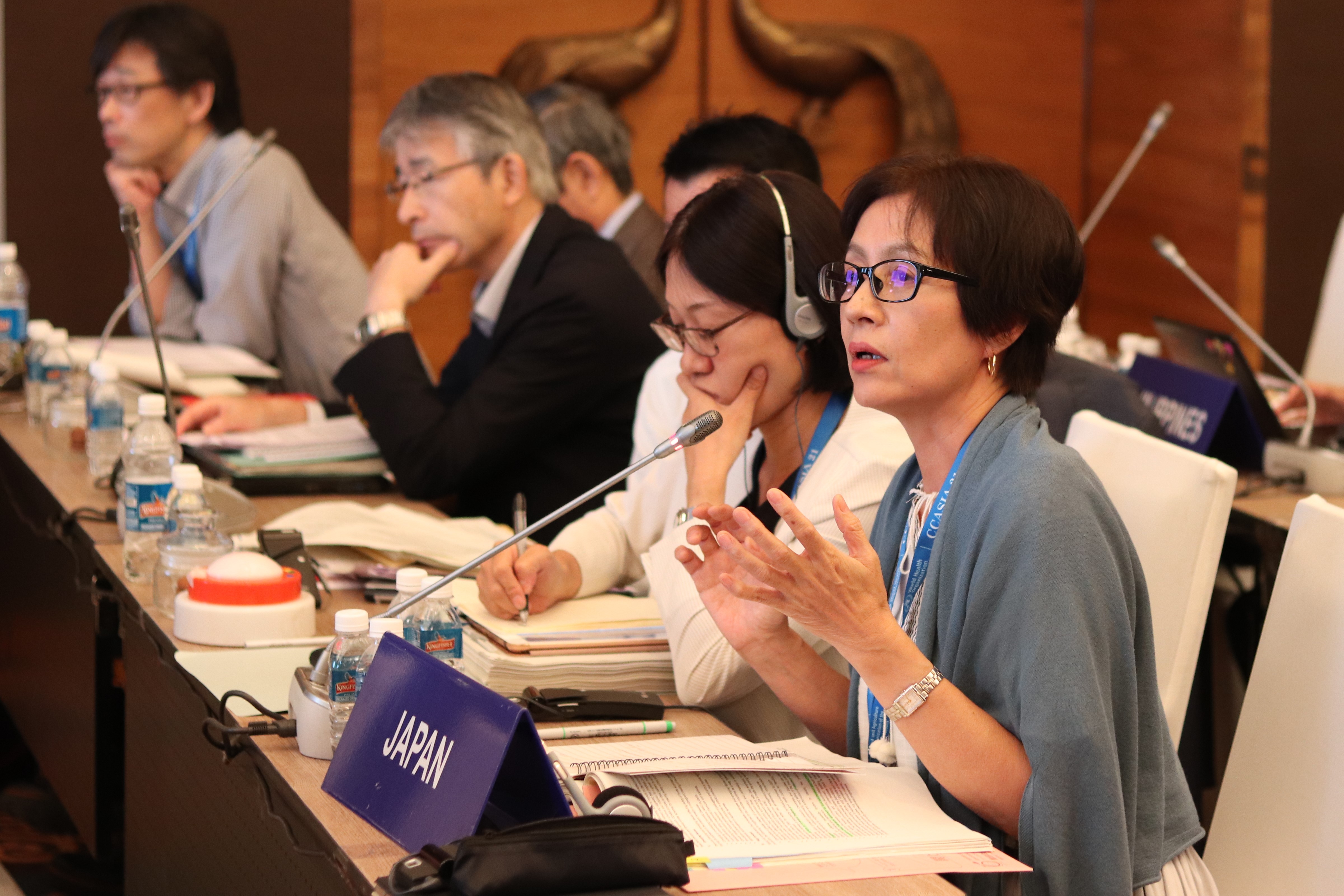 Yayoi Tsujiyama at CCASIA21, Goa, India