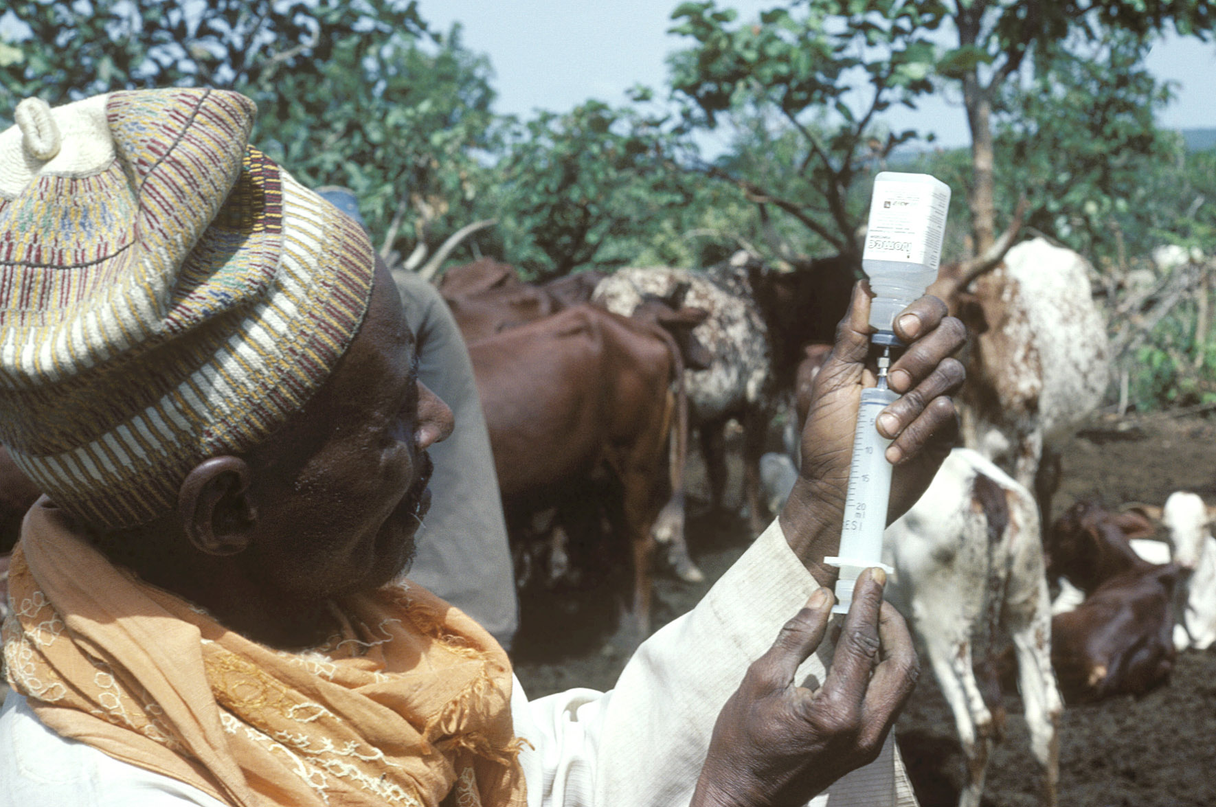 ©FAO/Roberto Faidutti / FAO BTSF-Bangkok