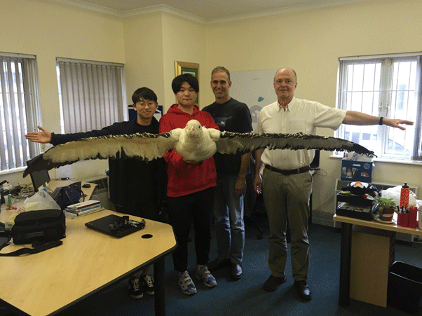 Figure 3. Observers learnt how to handle big seabirds like this albastross, if brought onboard, and how to release them safely. From the left, two observers, Mr Jaeyoung Yang and Mr Minuk Lee, Dr Ross Wanless, manager of the seabird conservation programme of BLSA, and Mr Janne Fogelgren, Project Operations Officer with the FAO.