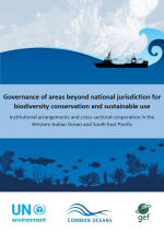Governance of areas beyond national jurisdiction for biodiversity conservation and sustainable use 