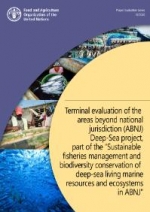 Terminal evaluation of the areas beyond national jurisdiction (ABNJ) Deep-Sea project, part of the “Sustainable fisheries management and biodiversity conservation of deep-sea living marine resources and ecosystems in ABNJ”